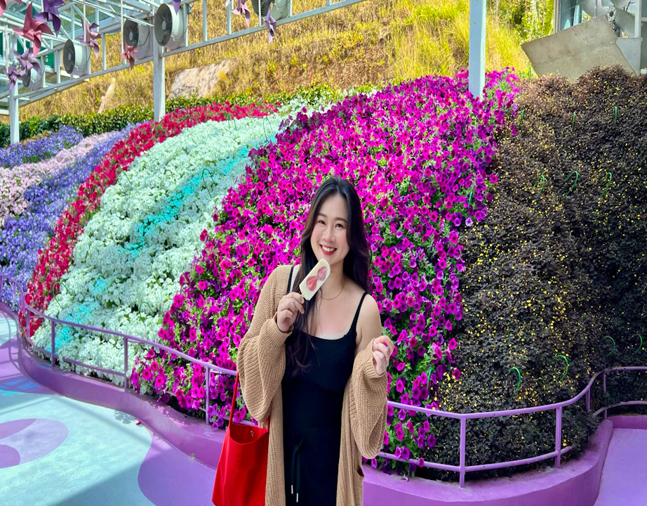 From Kuala Lumpur: Cameron Highlands Day Tour with Lunch Category